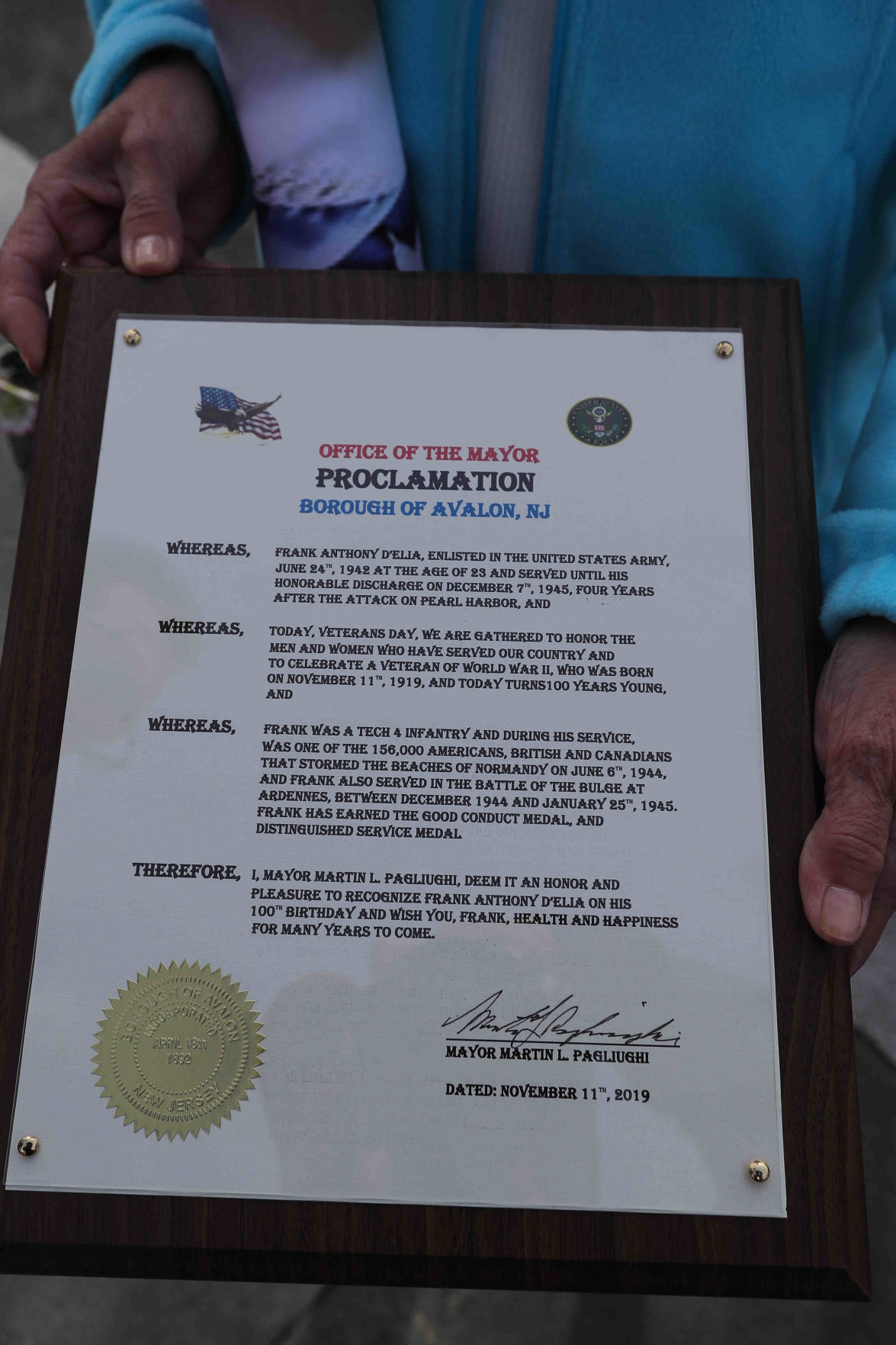 Veterans Day in Avalon